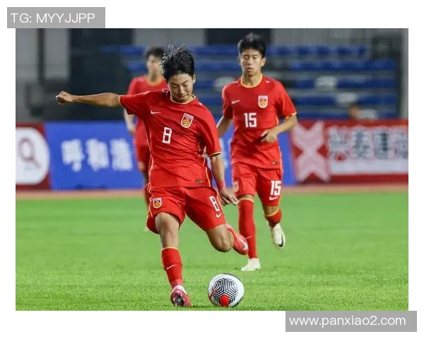 喀麦隆与澳大利亚足球对决全面分析及战术探讨