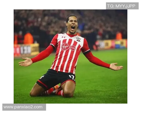 范戴克的足球之路从青涩少年到世界顶级后卫的辉煌历程