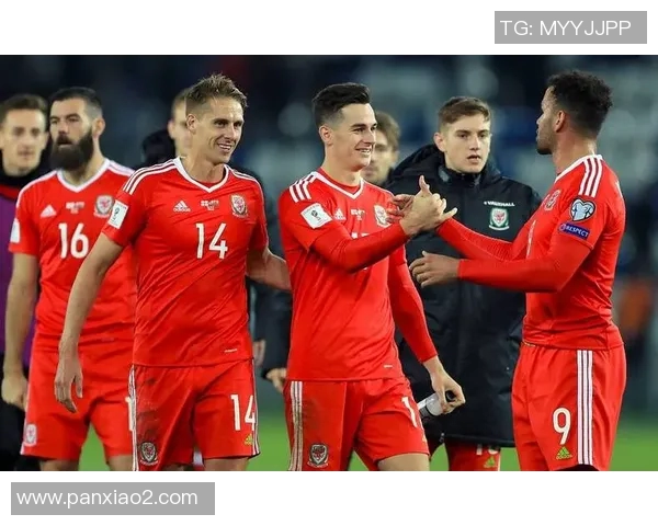 2017年葡萄牙与瑞典激战回顾两队精彩表现与战术分析