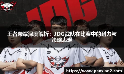 王者荣耀深度解析：JDG战队在比赛中的耐力与策略表现