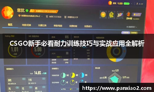 CSGO新手必看耐力训练技巧与实战应用全解析