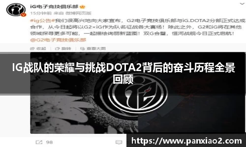 IG战队的荣耀与挑战DOTA2背后的奋斗历程全景回顾