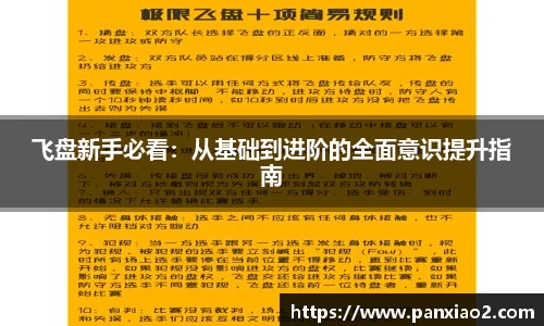 飞盘新手必看：从基础到进阶的全面意识提升指南