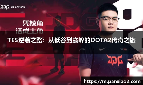 TES逆袭之路：从低谷到巅峰的DOTA2传奇之旅
