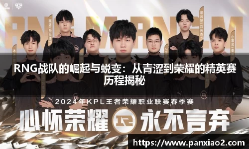 RNG战队的崛起与蜕变：从青涩到荣耀的精英赛历程揭秘