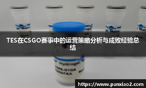 TES在CSGO赛事中的运营策略分析与成败经验总结